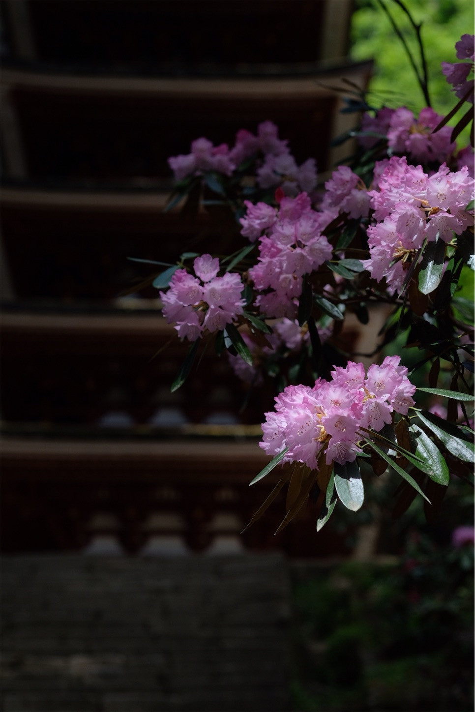 f:id:p-b-4:20210418195007j:image f:id:p-b-4:20210418195007j:image