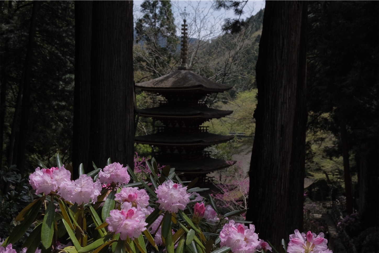 f:id:p-b-4:20210418195016j:image f:id:p-b-4:20210418195016j:image