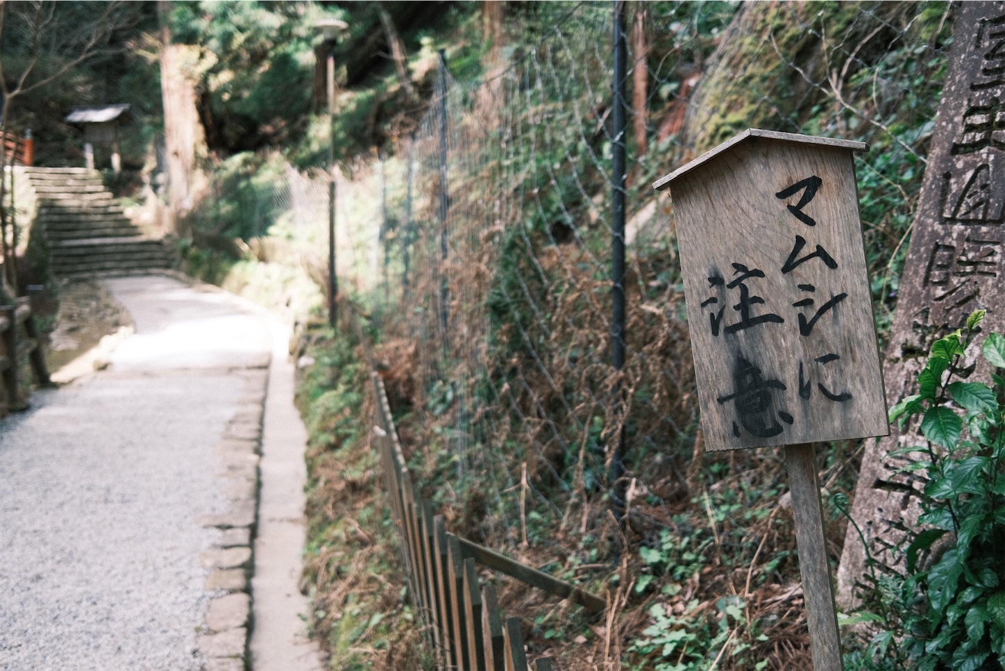 f:id:p-b-4:20210418195030j:image f:id:p-b-4:20210418195030j:image