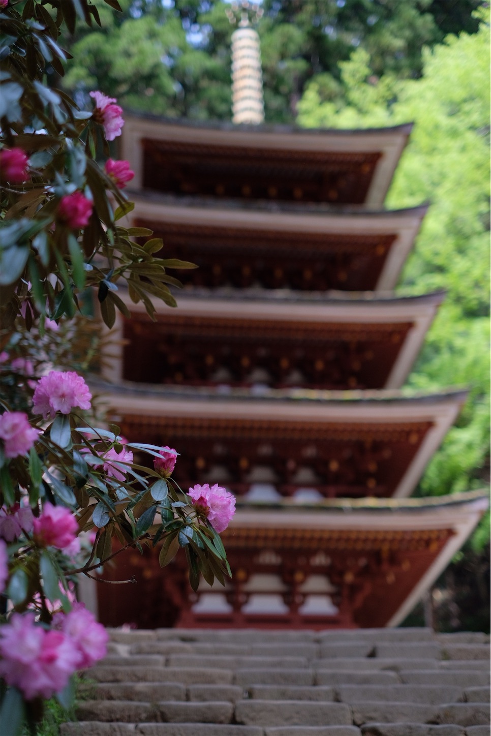 f:id:p-b-4:20210418195037j:image f:id:p-b-4:20210418195037j:image