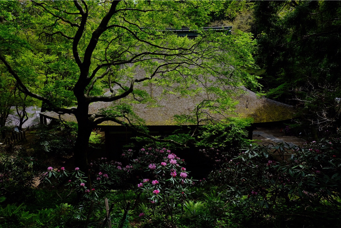 f:id:p-b-4:20210419004555j:image f:id:p-b-4:20210419004555j:image