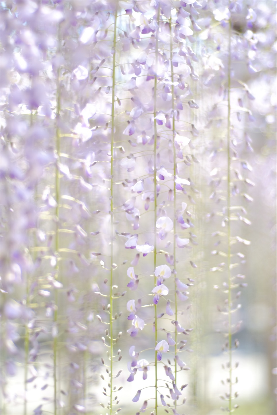 f:id:p-b-4:20210423083054j:image