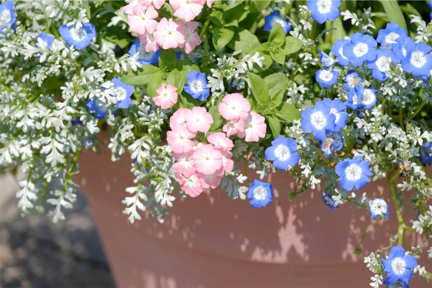 f:id:p-b-4:20210423083102j:image