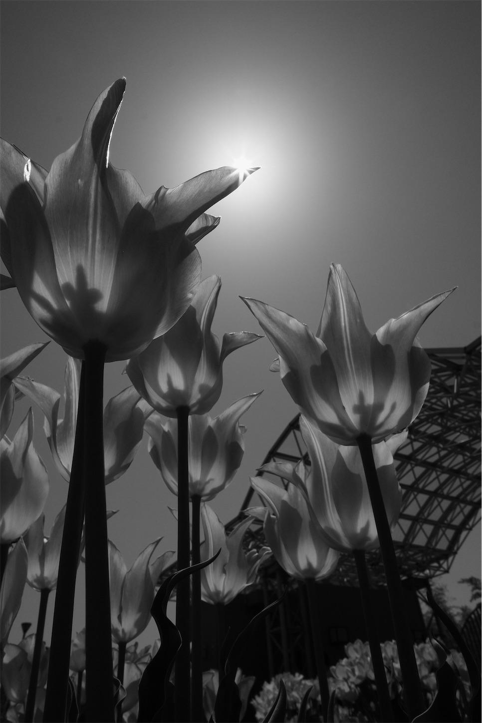 f:id:p-b-4:20210423083106j:image