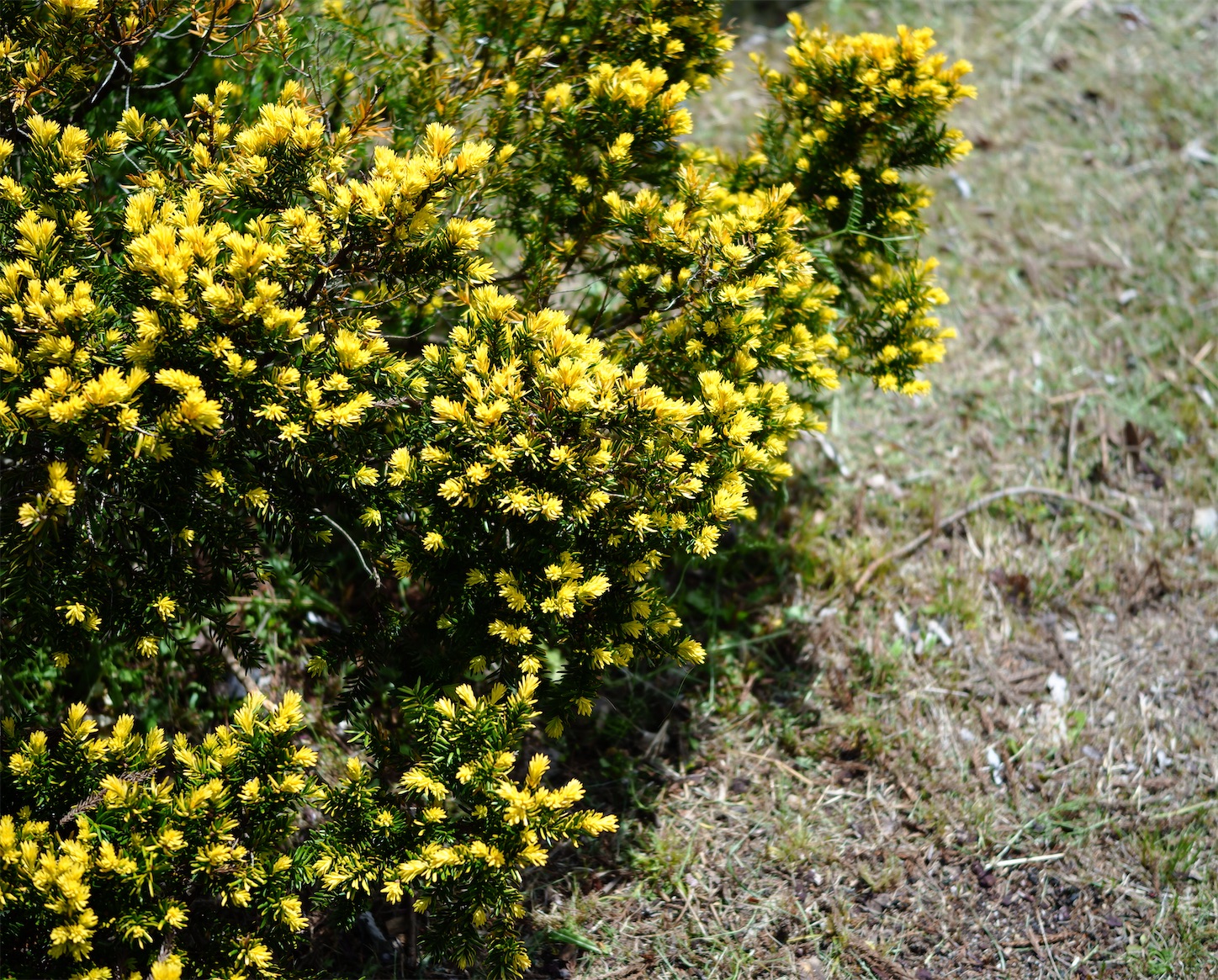 f:id:p-b-4:20210429141407j:image