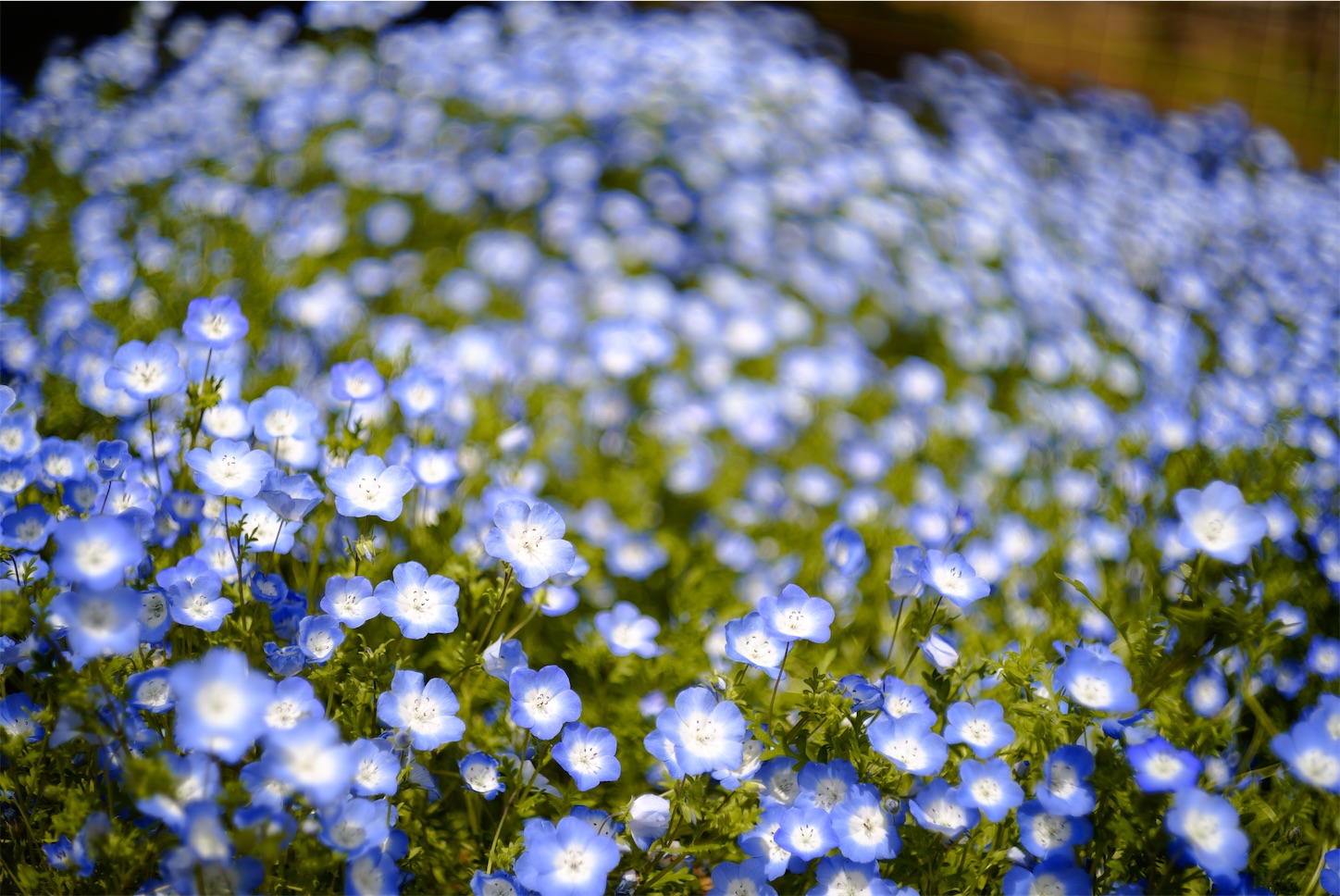 f:id:p-b-4:20210429141414j:image