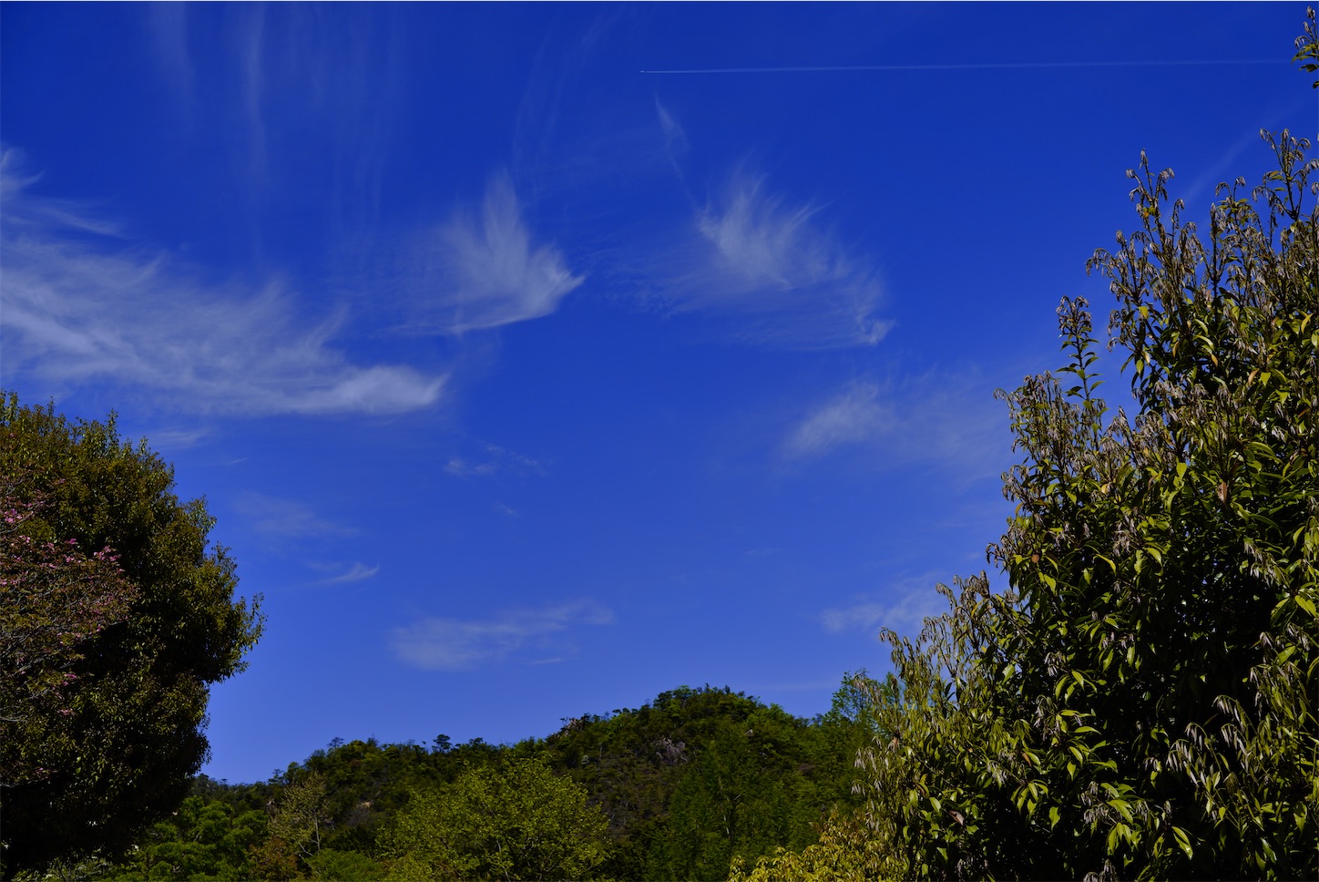 f:id:p-b-4:20210508223300j:image