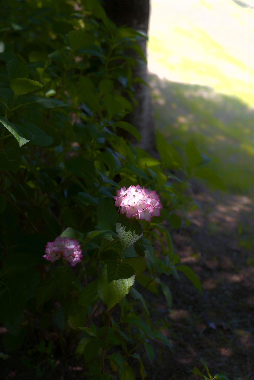 f:id:p-b-4:20210607124732j:image