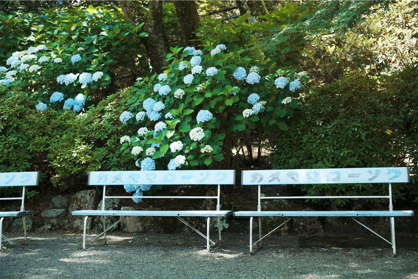 f:id:p-b-4:20210624033332j:image