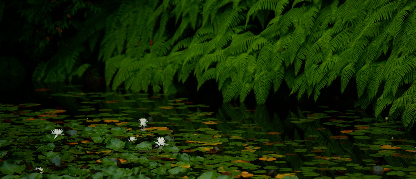 f:id:p-b-4:20210711065205j:image