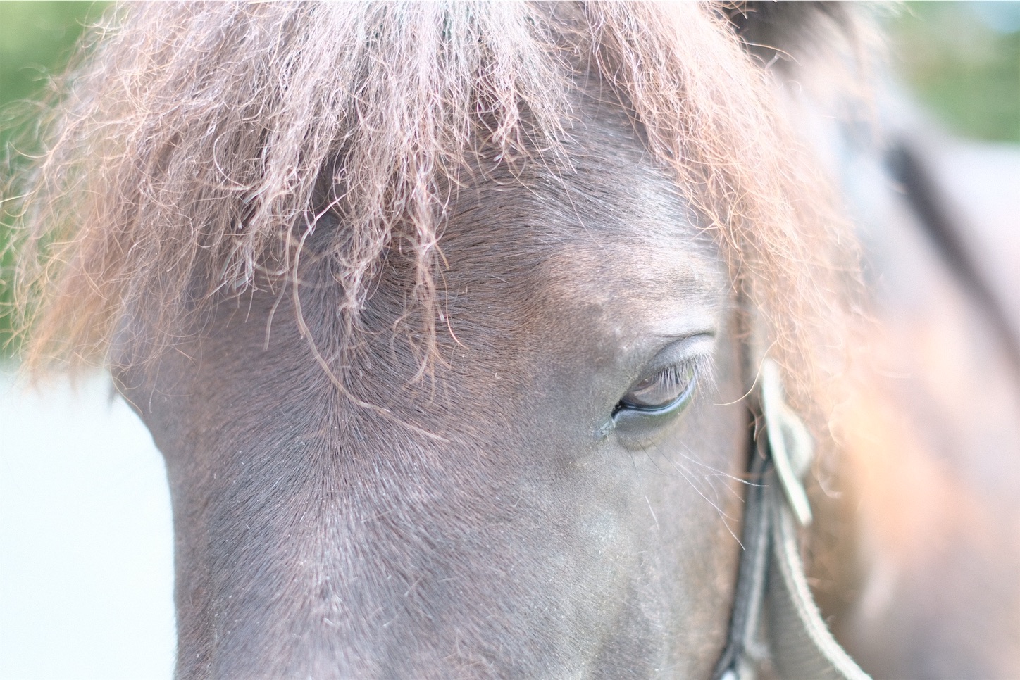 f:id:p-b-4:20220215011241j:image