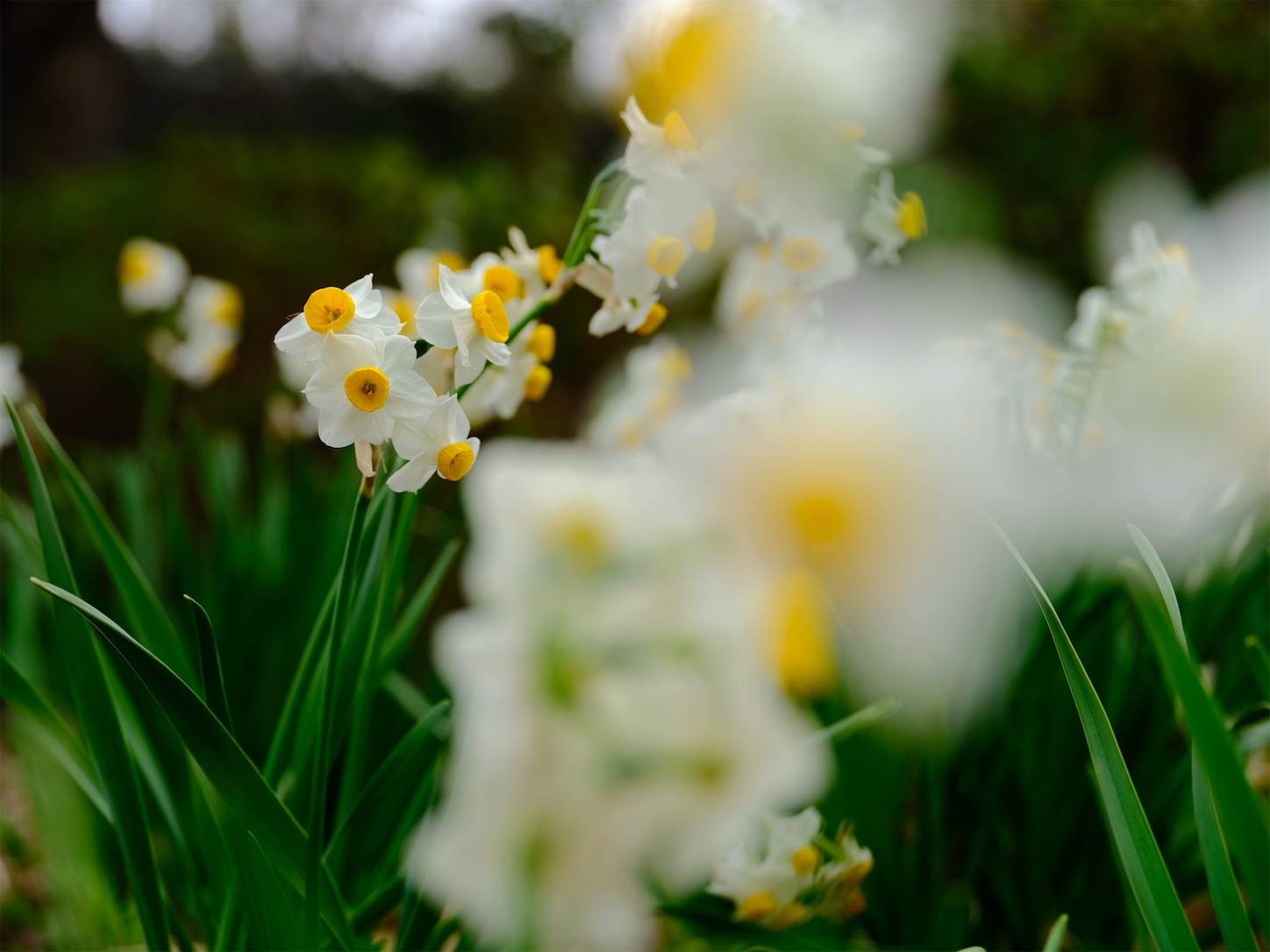 f:id:p-b-4:20220323072930j:image