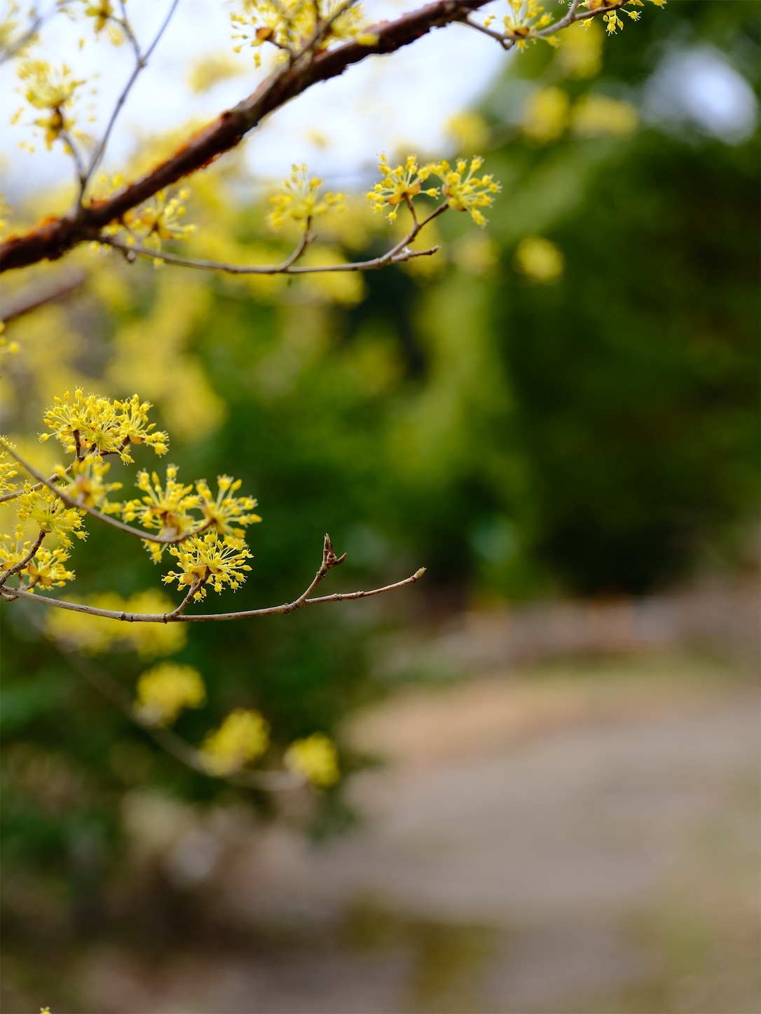 f:id:p-b-4:20220323072933j:image