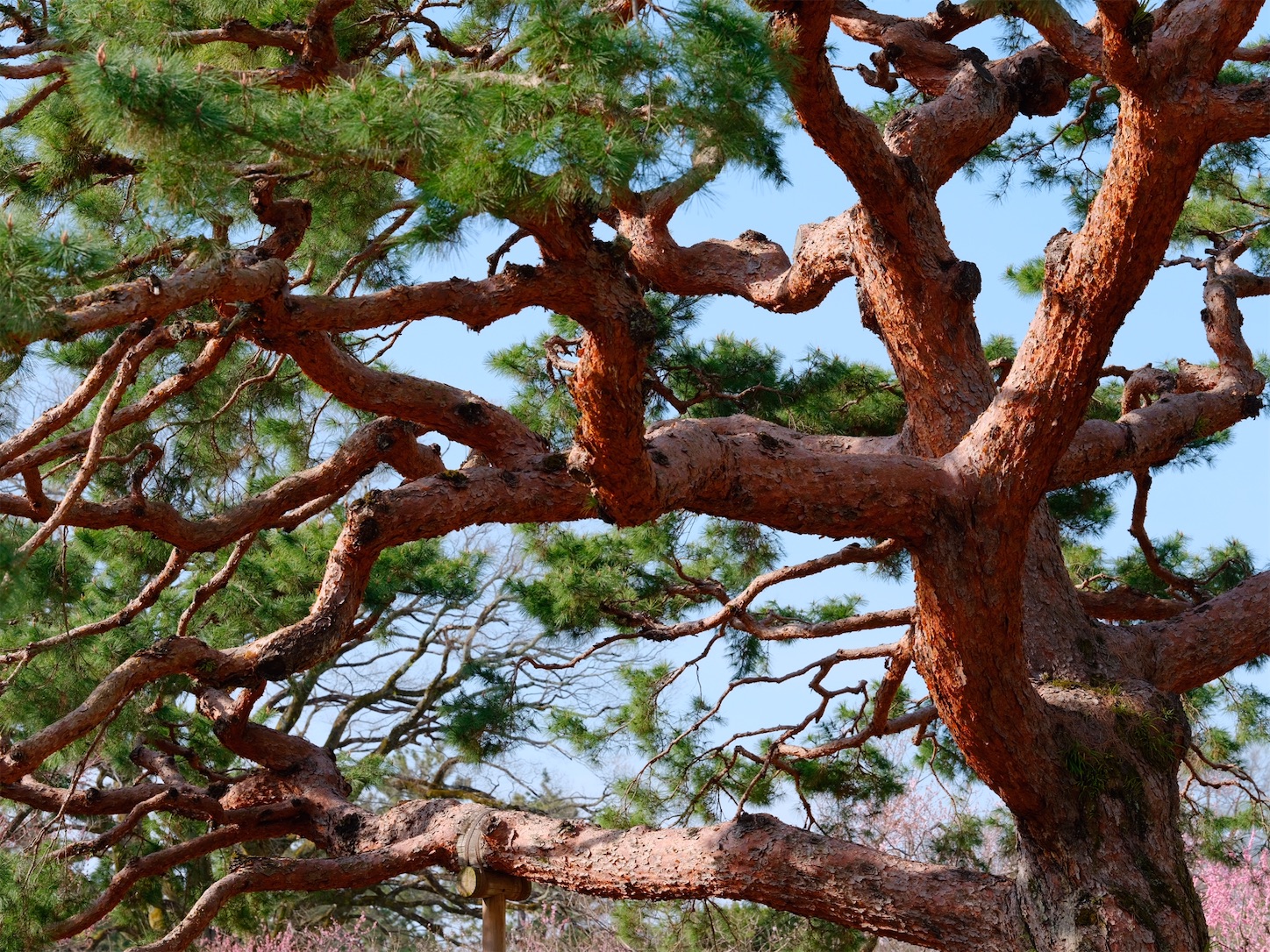 f:id:p-b-4:20220408073014j:image