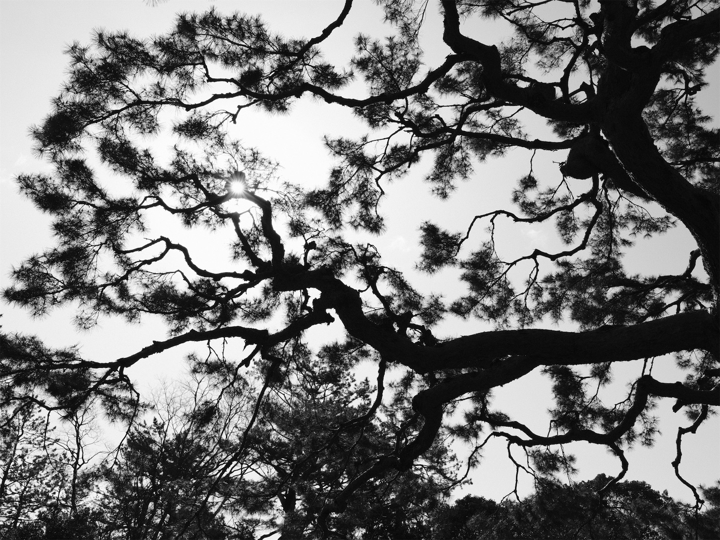 f:id:p-b-4:20220408073019j:image