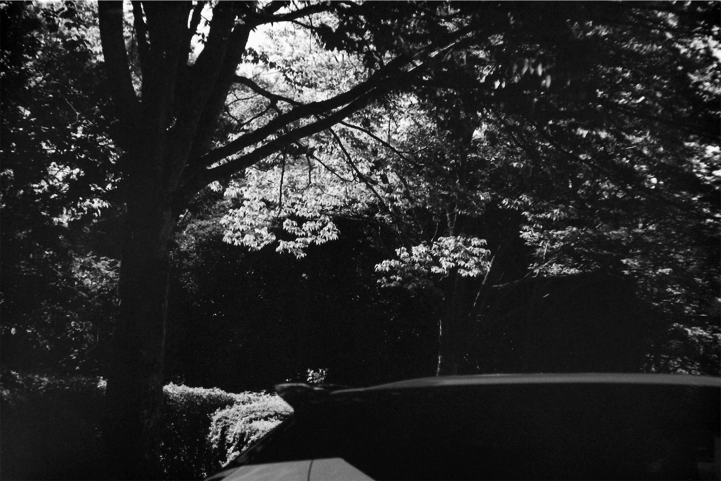 f:id:p-b-4:20221013085156j:image