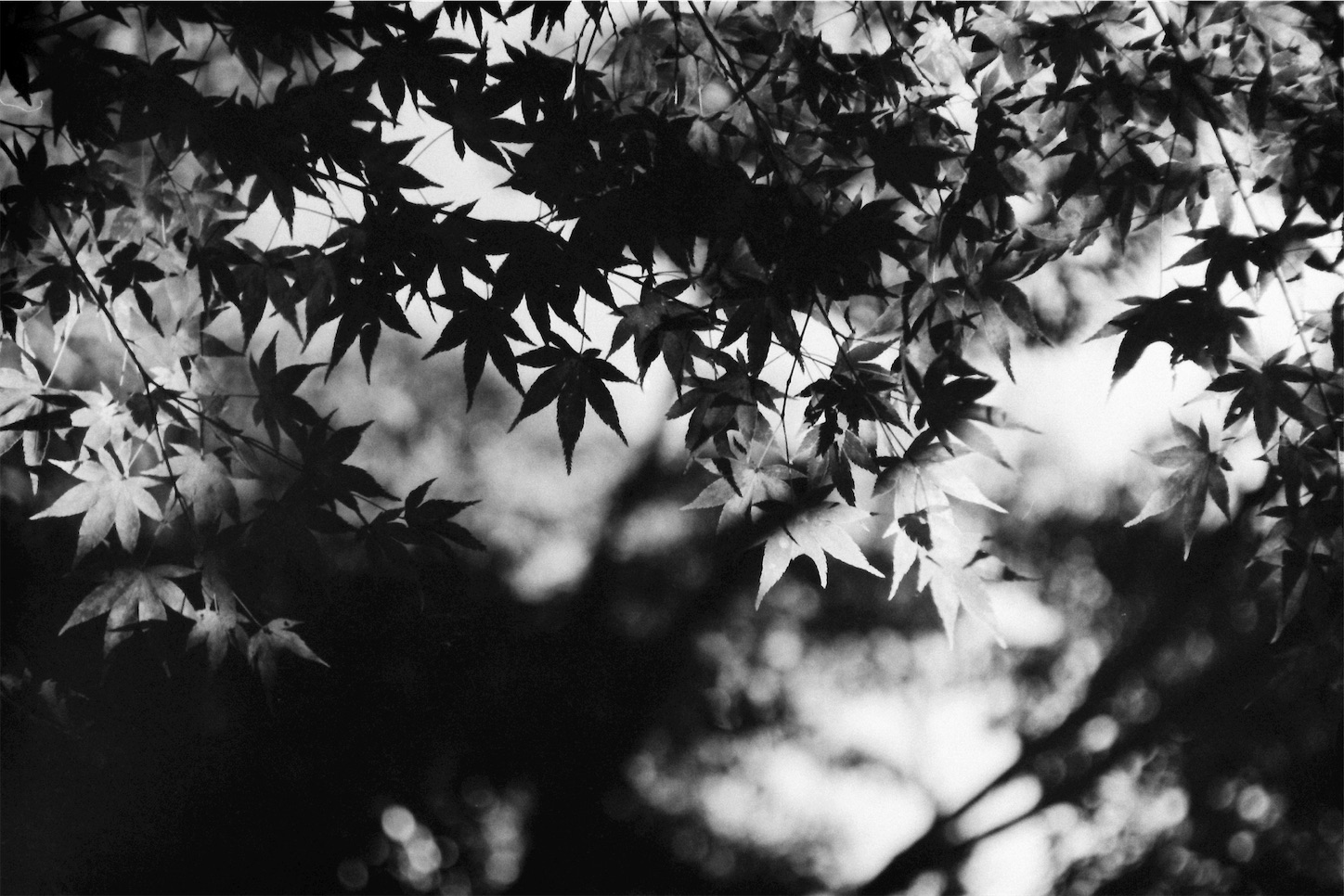 f:id:p-b-4:20221013085207j:image