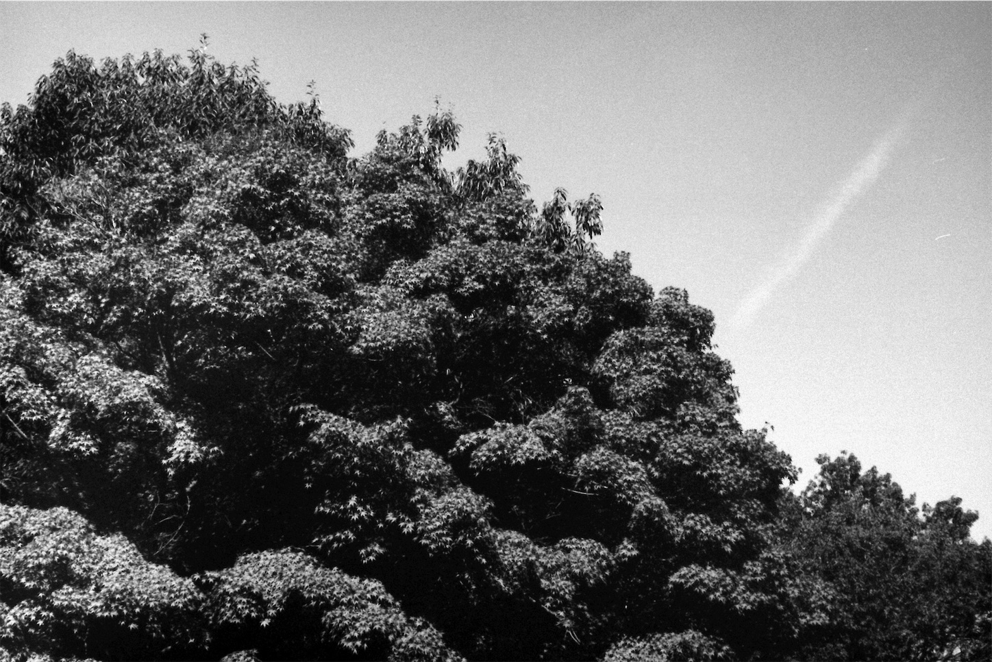 f:id:p-b-4:20221013085224j:image