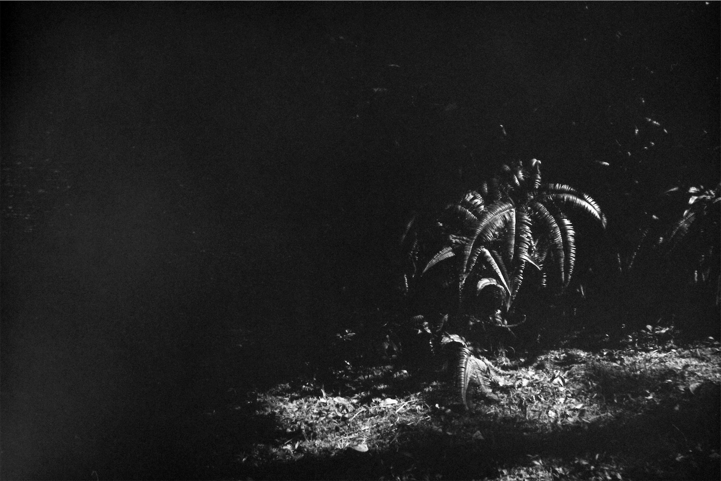 f:id:p-b-4:20221013085229j:image