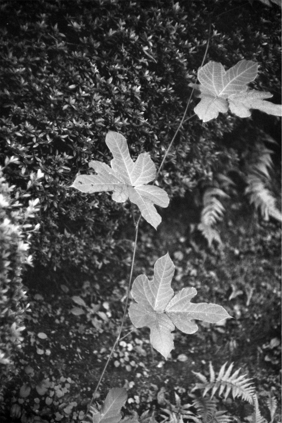 f:id:p-b-4:20221013085308j:image