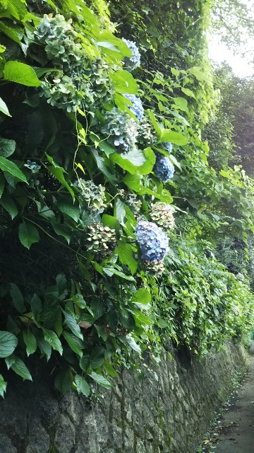 f:id:p-man2324:20200828155247j:plain