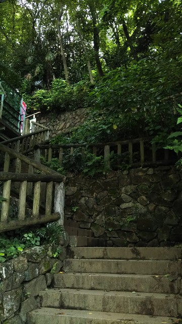 f:id:p-man2324:20200828155332j:plain