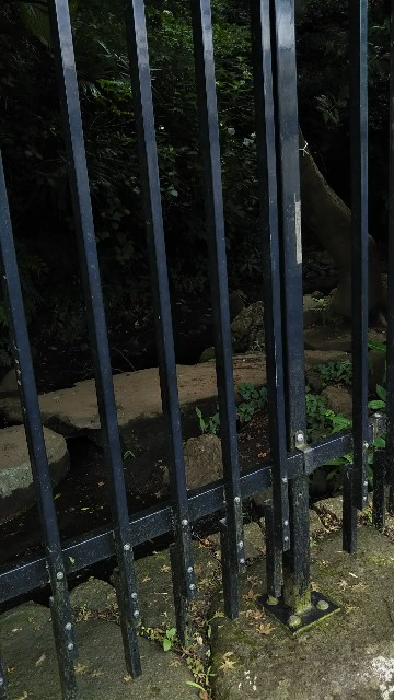 f:id:p-man2324:20200828155409j:plain