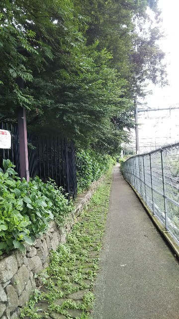 f:id:p-man2324:20200828155426j:plain