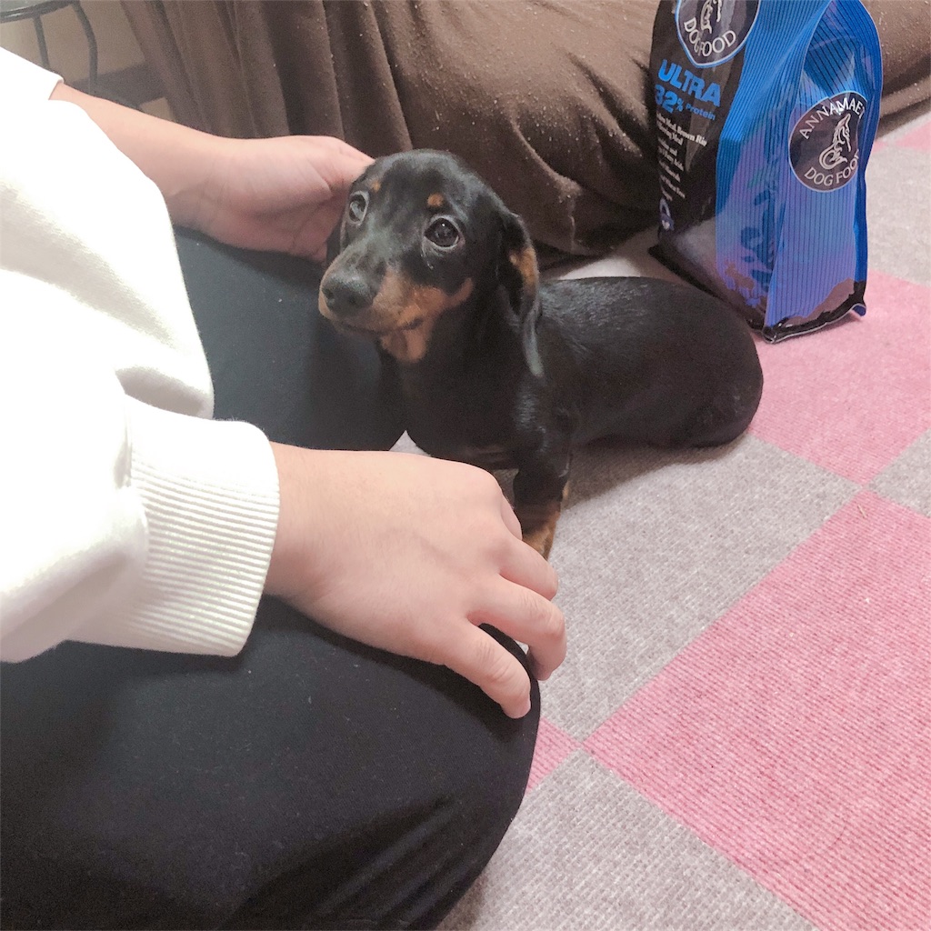 f:id:p-o-qken10112850:20190210200624j:image