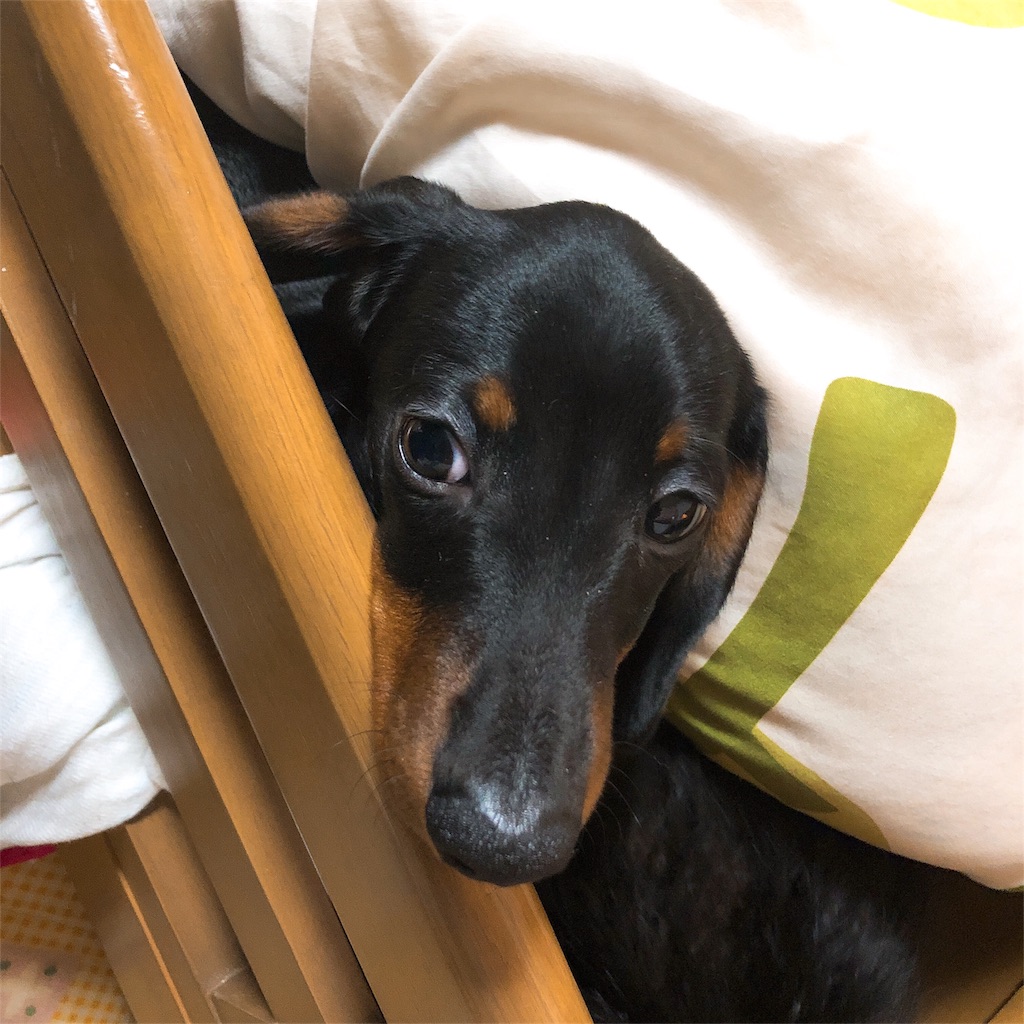 f:id:p-o-qken10112850:20190210200928j:image