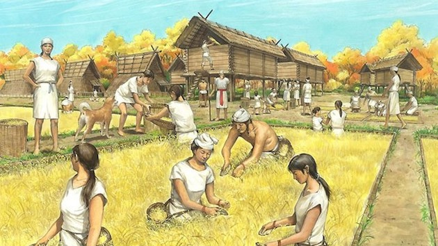 思考力を高める 縄文と弥生の違い 社会科授業を楽しむ P Red S Blog