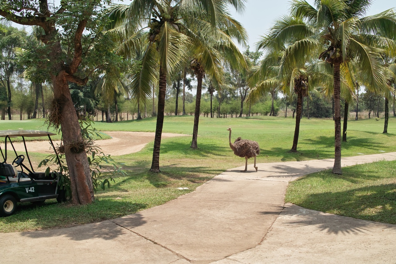 f:id:p0lar-star:20090505123325j:image:w600 f:id:p0lar-star:20090505123325j:image:w600