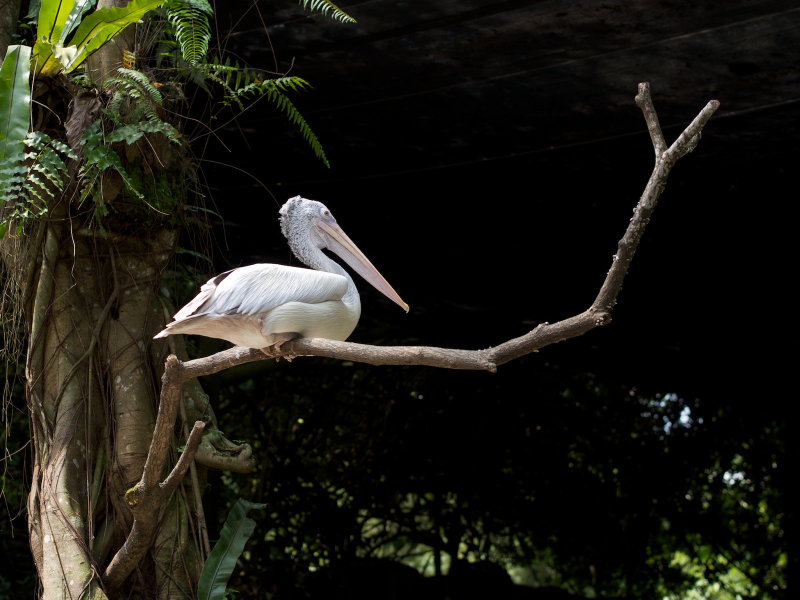 f:id:p0lar-star:20120528140713j:image f:id:p0lar-star:20120528140713j:image