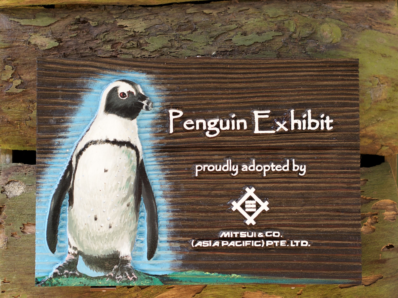 f:id:p0lar-star:20120528140804j:image f:id:p0lar-star:20120528140804j:image