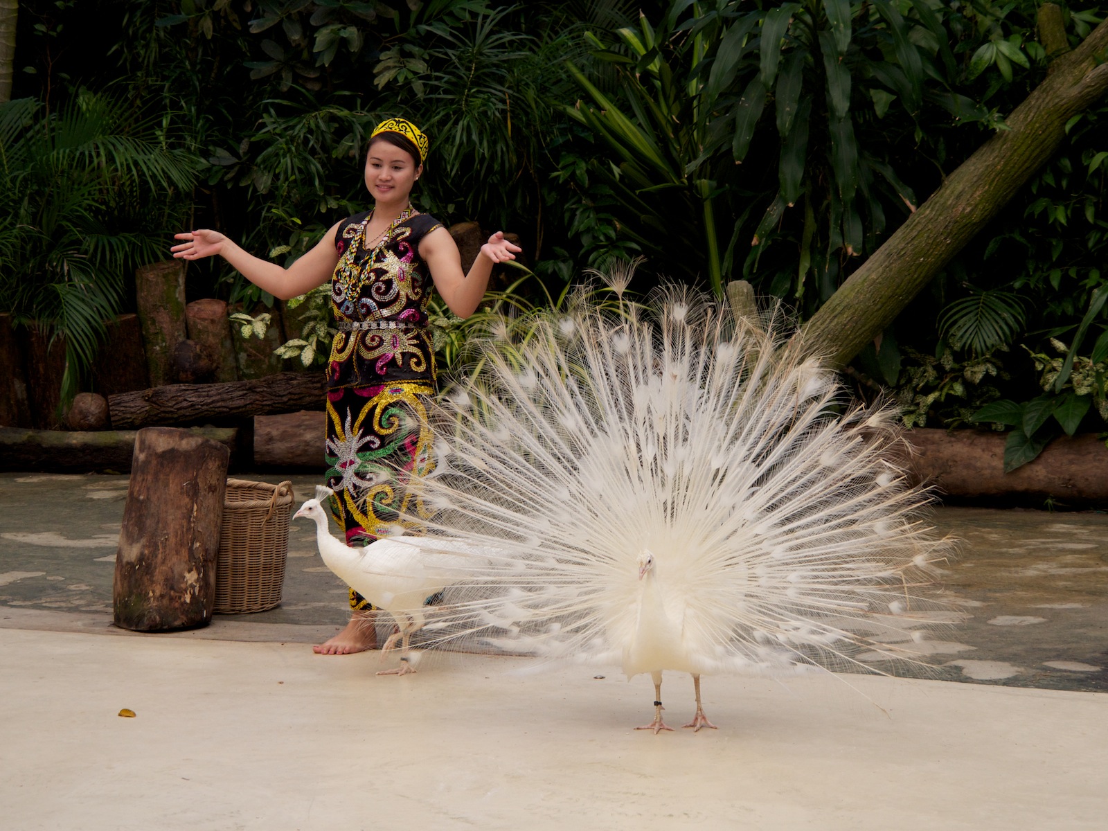 f:id:p0lar-star:20120528143145j:image f:id:p0lar-star:20120528143145j:image