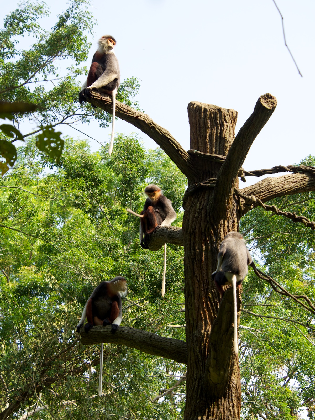 f:id:p0lar-star:20120528154041j:image f:id:p0lar-star:20120528154041j:image