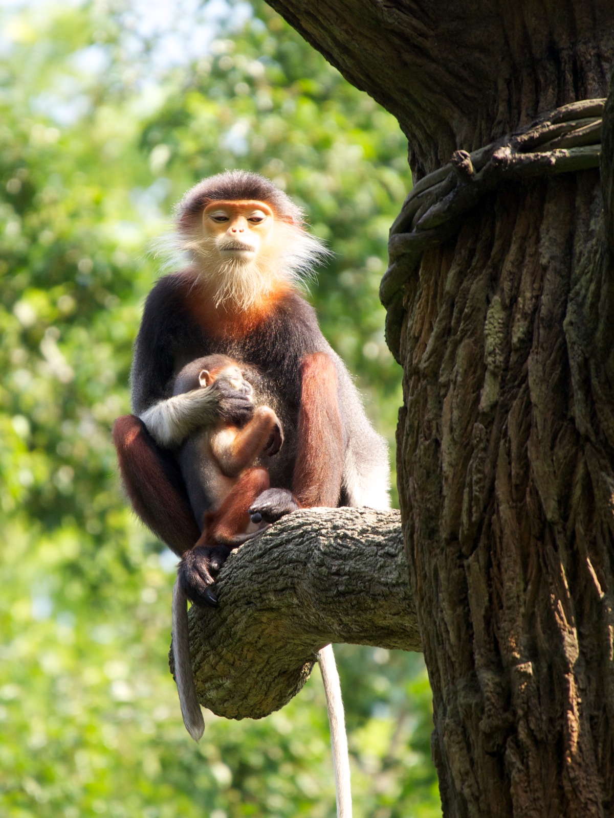 f:id:p0lar-star:20120528154121j:image f:id:p0lar-star:20120528154121j:image