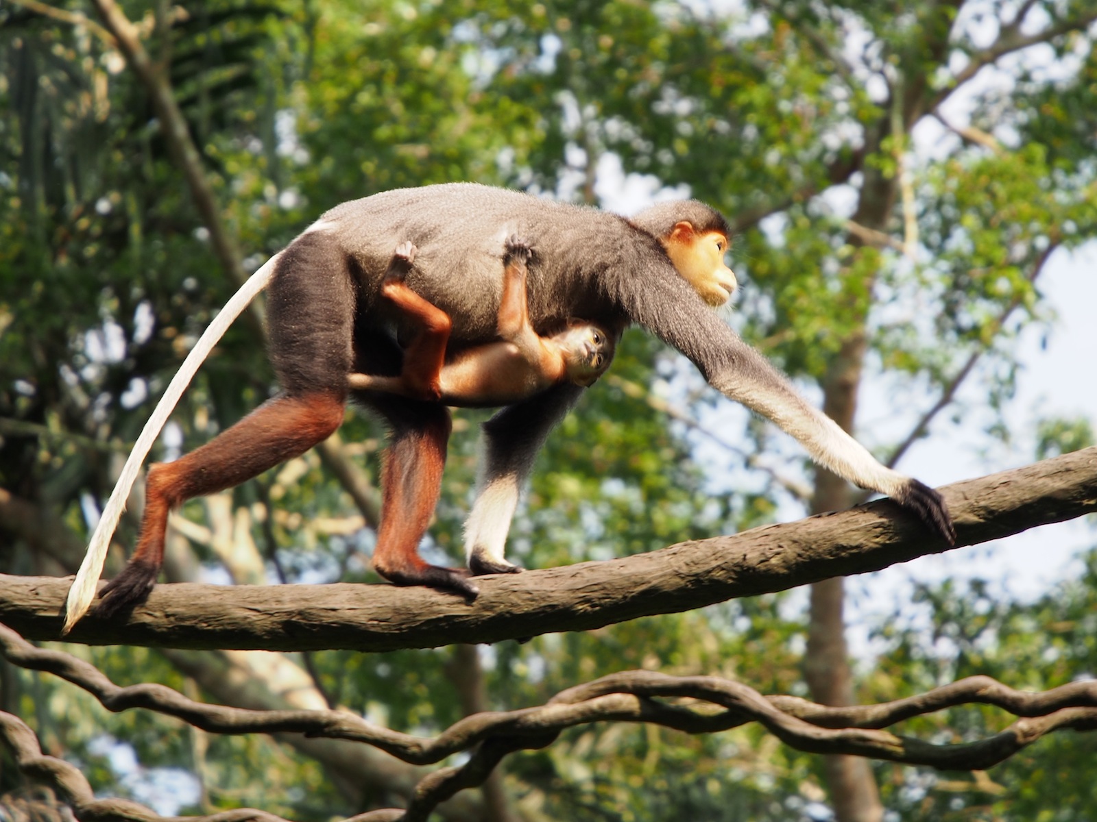 f:id:p0lar-star:20120528154203j:image f:id:p0lar-star:20120528154203j:image