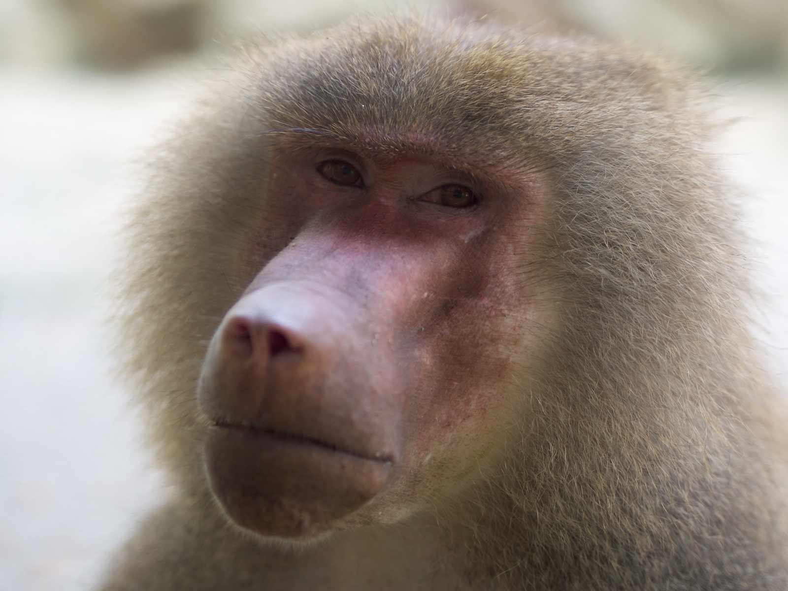 f:id:p0lar-star:20120528162305j:image f:id:p0lar-star:20120528162305j:image