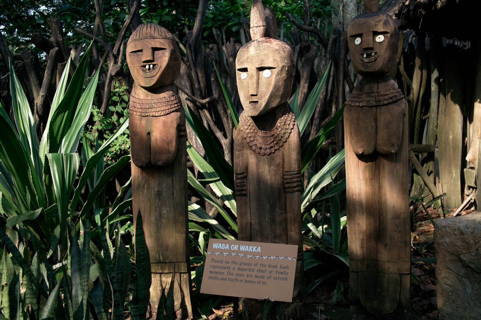 f:id:p0lar-star:20120528163805j:image f:id:p0lar-star:20120528163805j:image