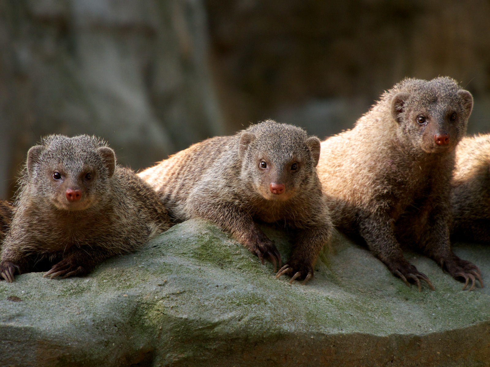 f:id:p0lar-star:20120528164411j:image f:id:p0lar-star:20120528164411j:image