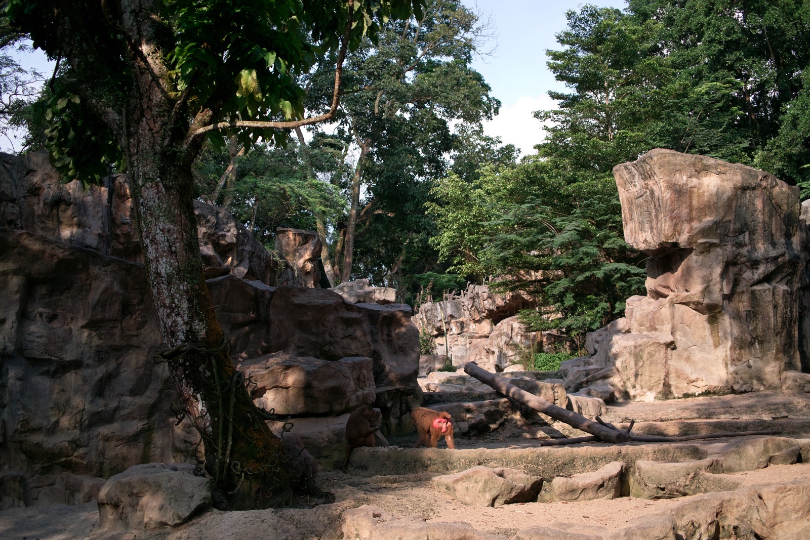 f:id:p0lar-star:20120528165316j:image f:id:p0lar-star:20120528165316j:image