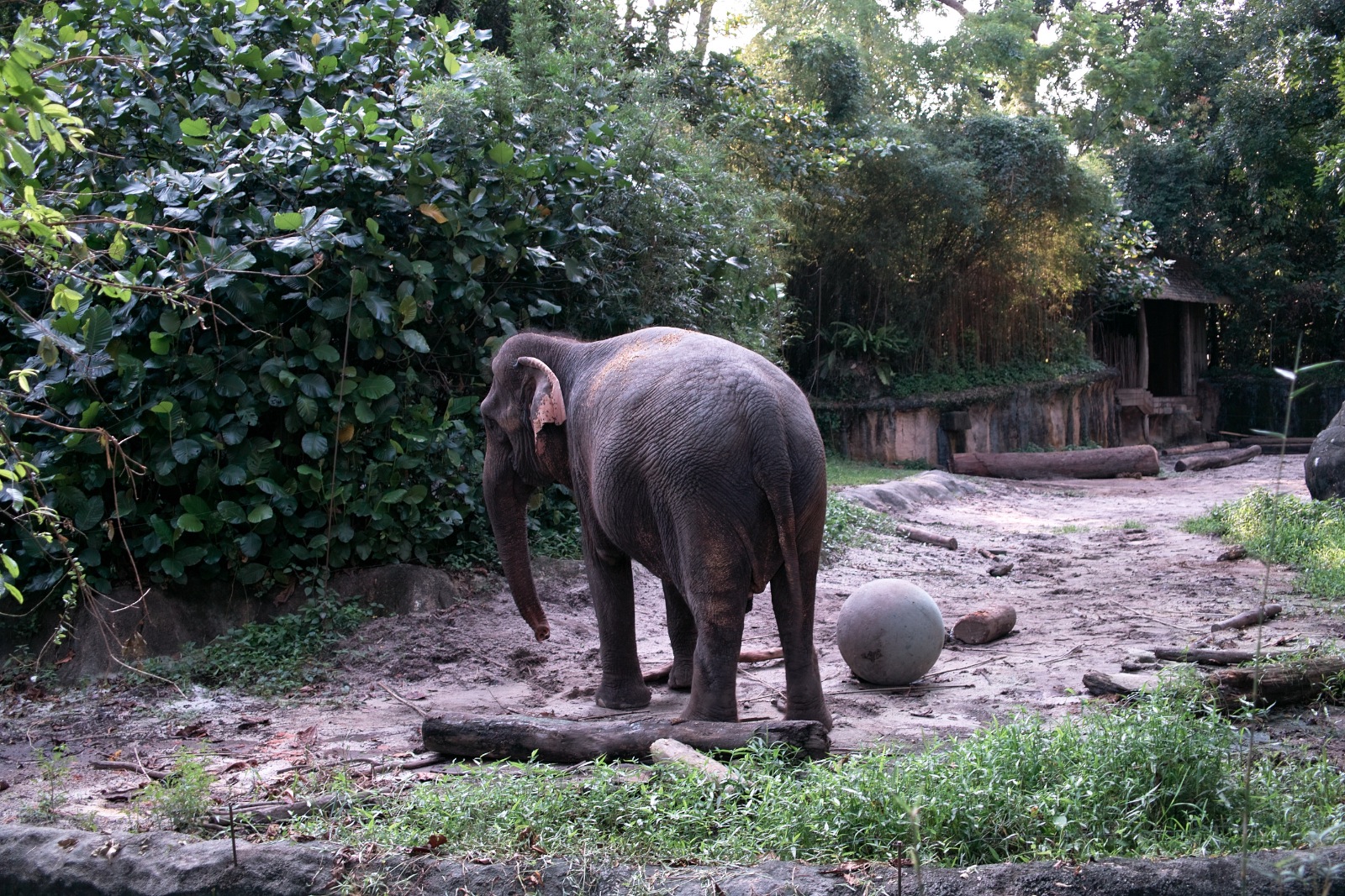 f:id:p0lar-star:20120528170717j:image f:id:p0lar-star:20120528170717j:image