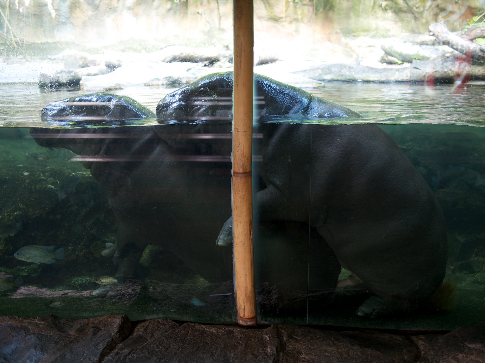 f:id:p0lar-star:20120528172701j:image f:id:p0lar-star:20120528172701j:image