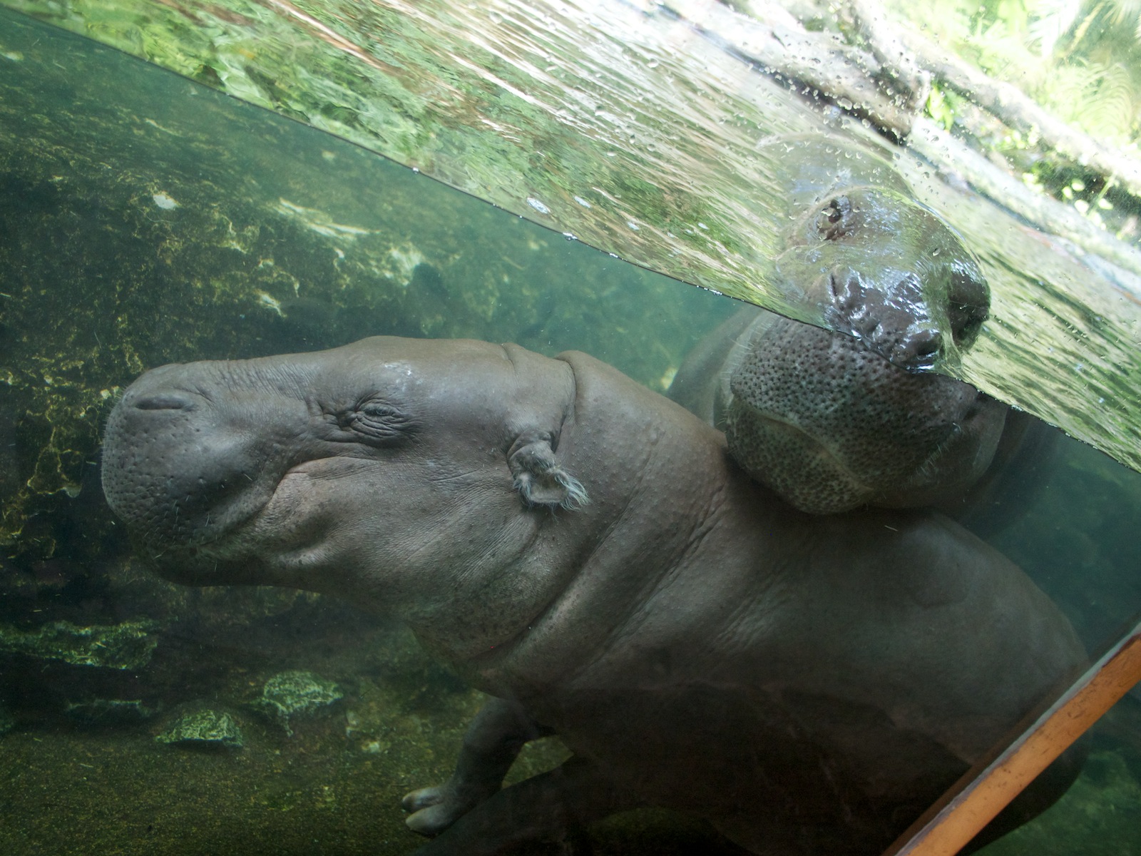 f:id:p0lar-star:20120528173604j:image f:id:p0lar-star:20120528173604j:image