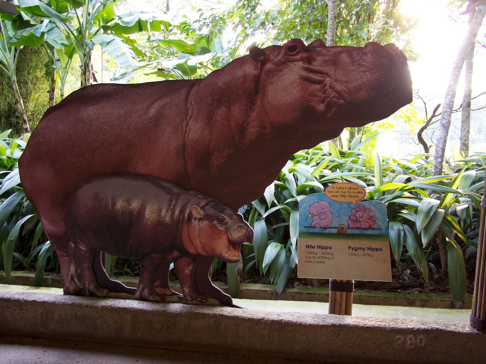 f:id:p0lar-star:20120528174856j:image f:id:p0lar-star:20120528174856j:image