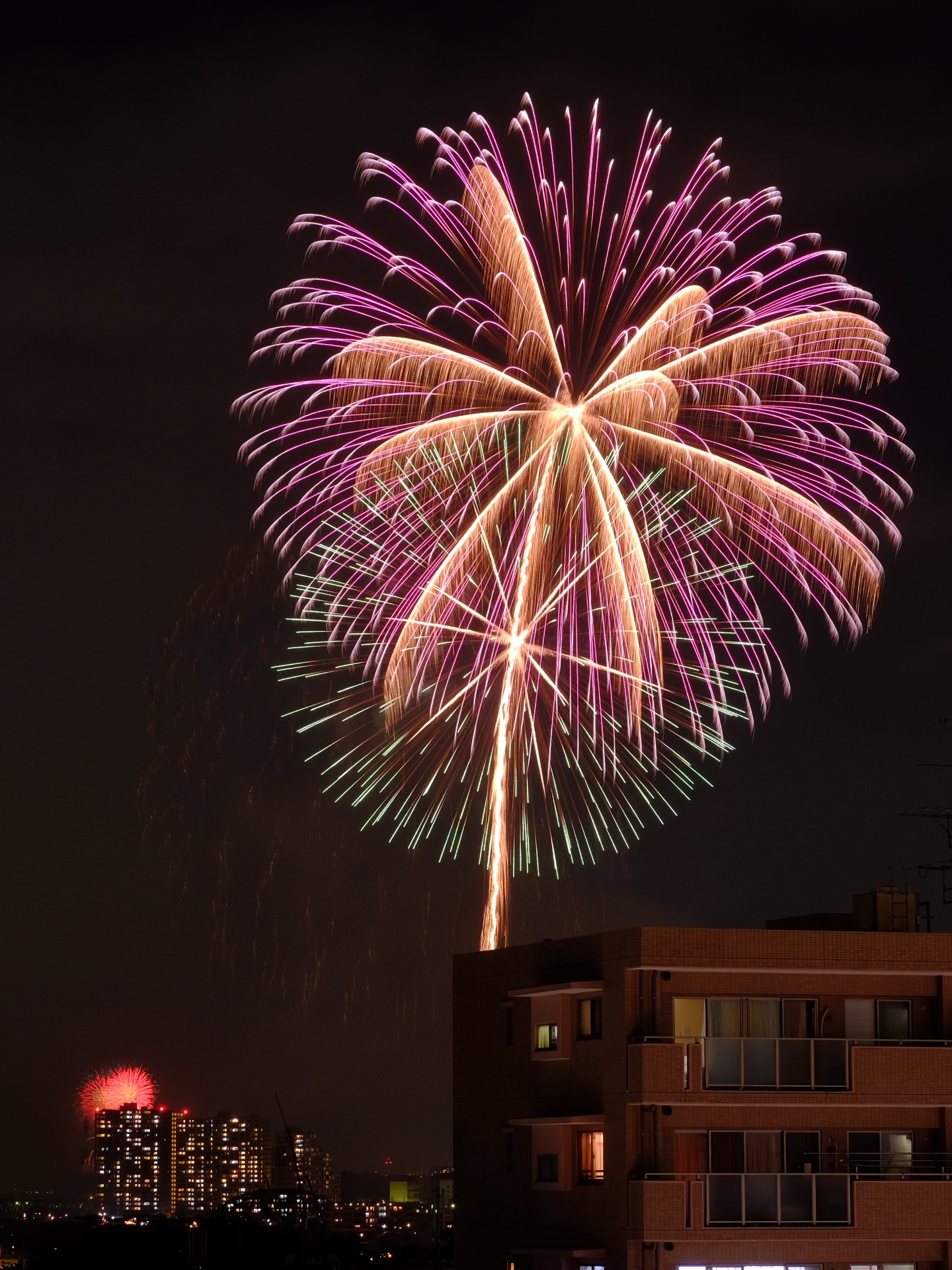 江戸川花火大会16 Yの王宮