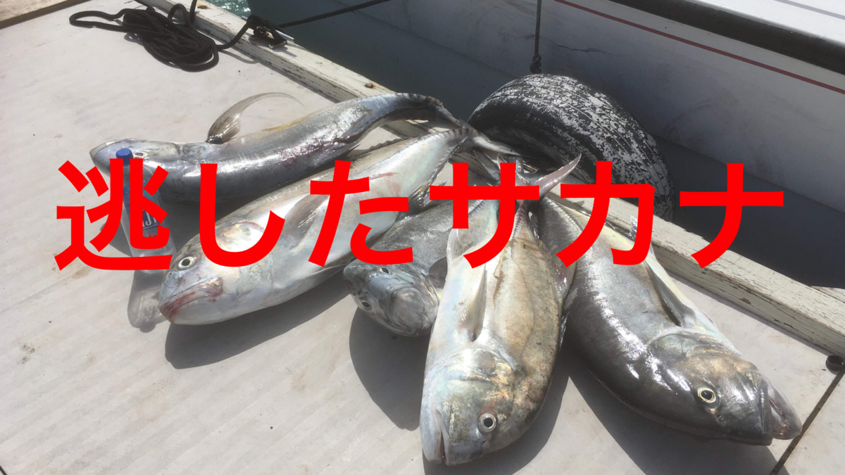 f:id:p1073:20190314105907p:plain f:id:p1073:20190314105907p:plain