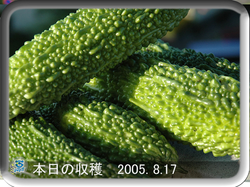 イメージ 2