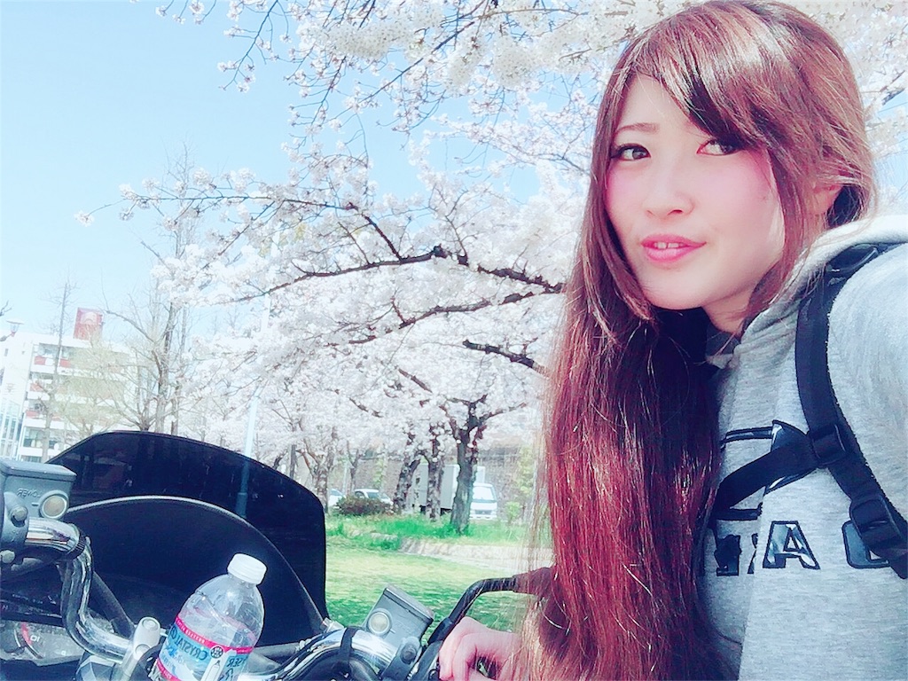 f:id:p3-aono:20180401235117j:image